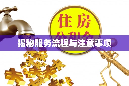 秦都揭秘服务流程与注意事项