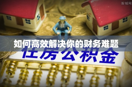 秦都如何高效解决你的财务难题