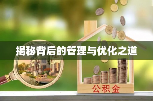 秦都揭秘背后的管理与优化之道