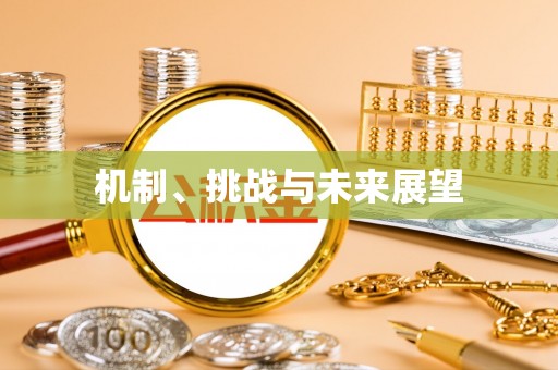 秦都机制、挑战与未来展望